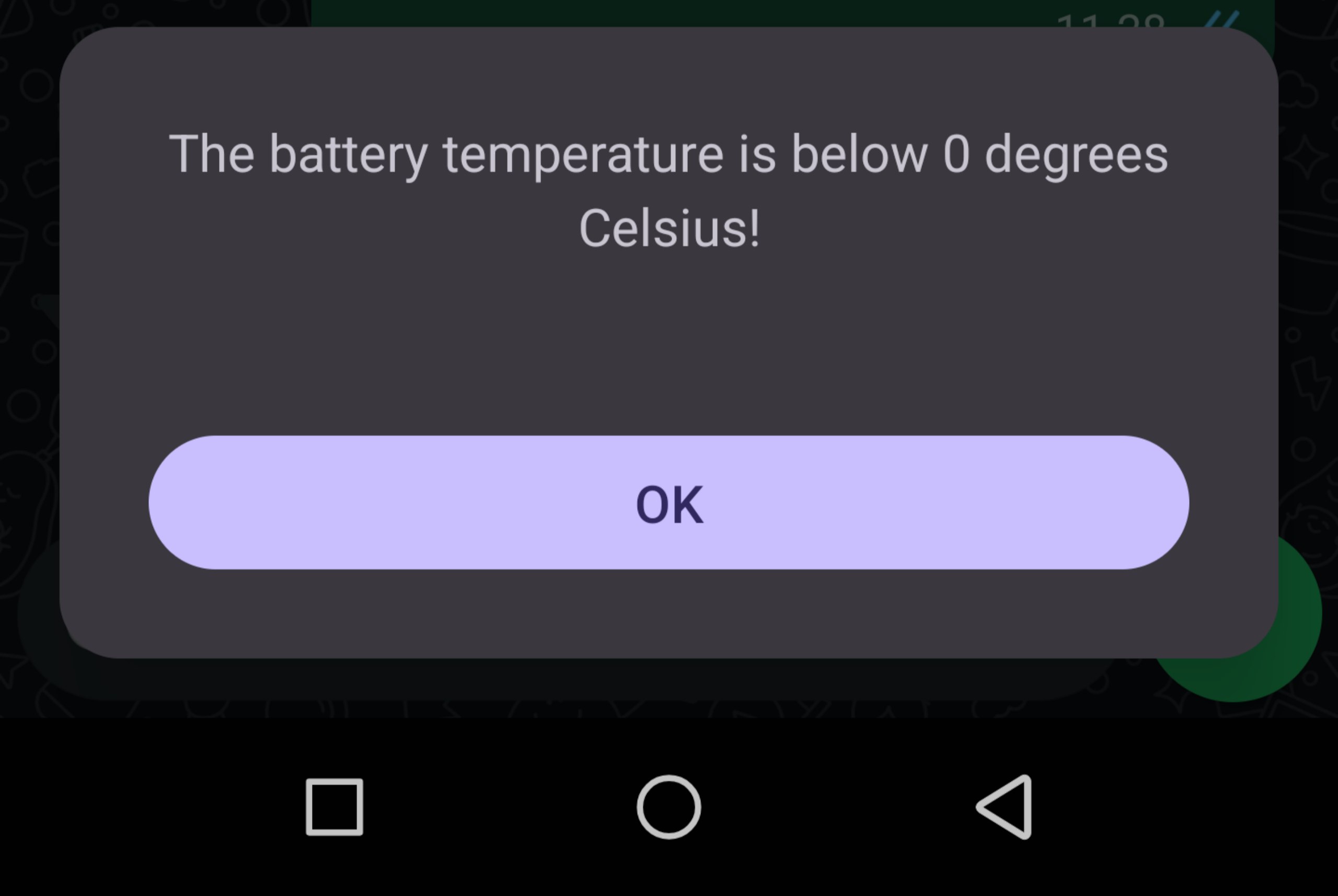 6048856898754252046.jpg