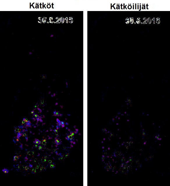 heatmap-diff.png